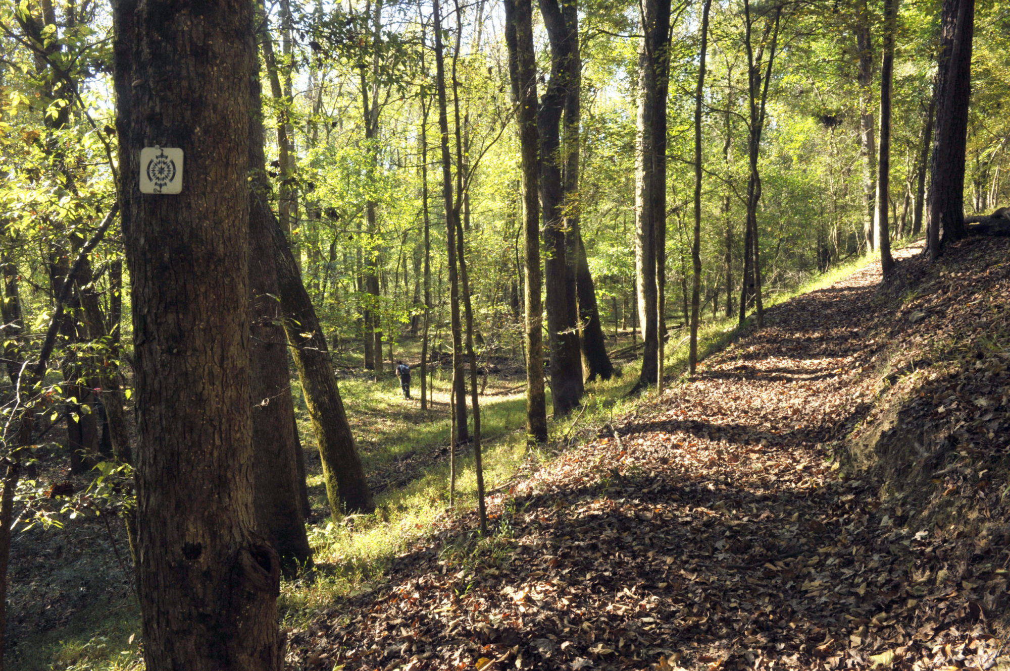Carolina Thread Trail and Catawba Lands Conservancy